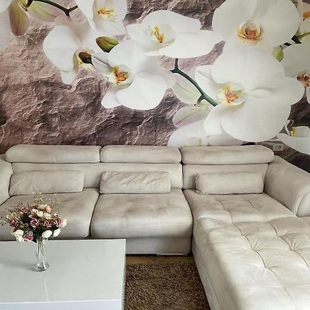 Sunkissed Centre Apartment Wlora Zewnętrze zdjęcie