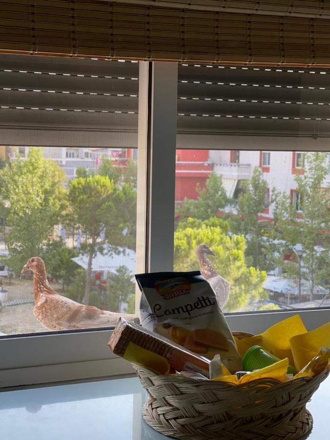 Sunkissed Centre Apartment Wlora Zewnętrze zdjęcie